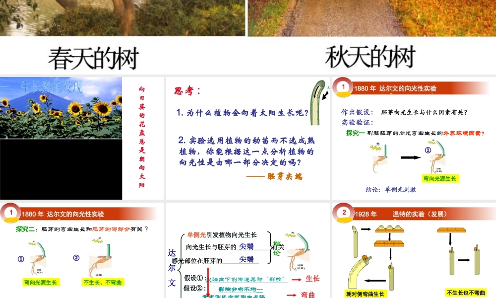 八年级科学上册 第3章 生命活动的调节 3.1《植物生命活动的调节》课件（2） 浙教版-浙教版初中八年级上册自然科学课件