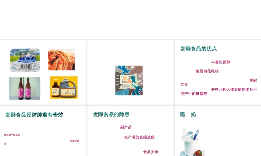 八年级生物下册 第9单元 第25章 第1节《发酵技术》课件 北师大版