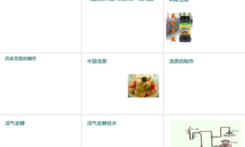 八年级生物下册 第9单元 第25章 第1节《发酵技术》课件 北师大版