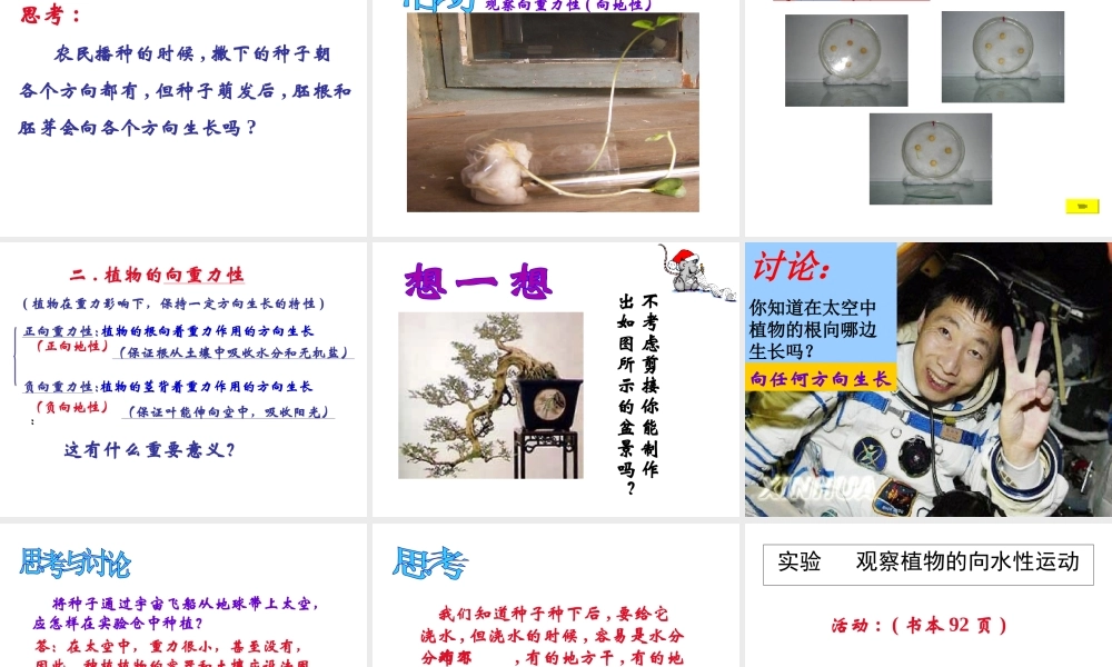 八年级科学上册 第3章 生命活动的调节 3.1《植物生命活动的调节》课件（3） 浙教版-浙教版初中八年级上册自然科学课件