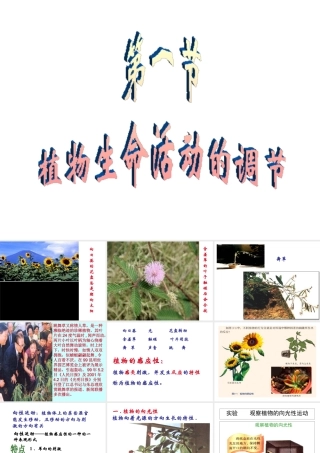 八年级科学上册 第3章 生命活动的调节 3.1《植物生命活动的调节》课件（3） 浙教版-浙教版初中八年级上册自然科学课件