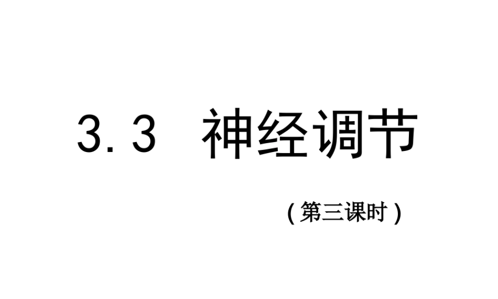 八年级科学上册 3.3神经调节(第三课时))课件 浙教版