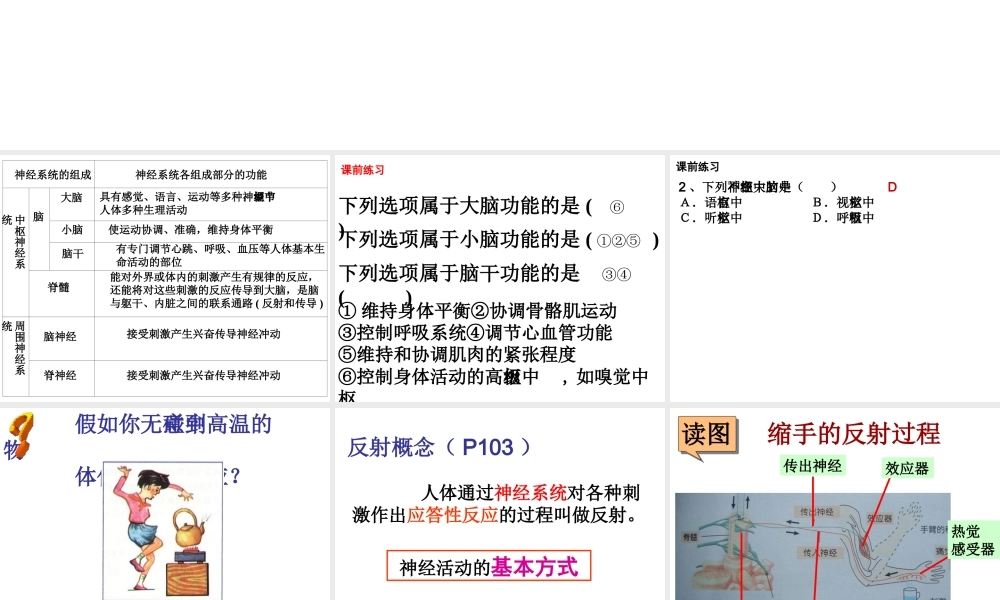 八年级科学上册 3.3神经调节(第三课时))课件 浙教版