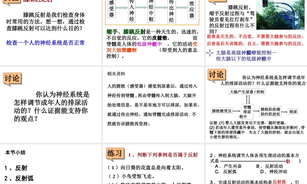 八年级科学上册 3.3神经调节(第三课时))课件 浙教版