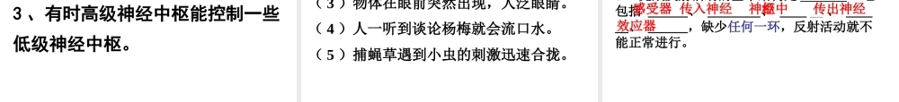 八年级科学上册 3.3神经调节(第三课时))课件 浙教版