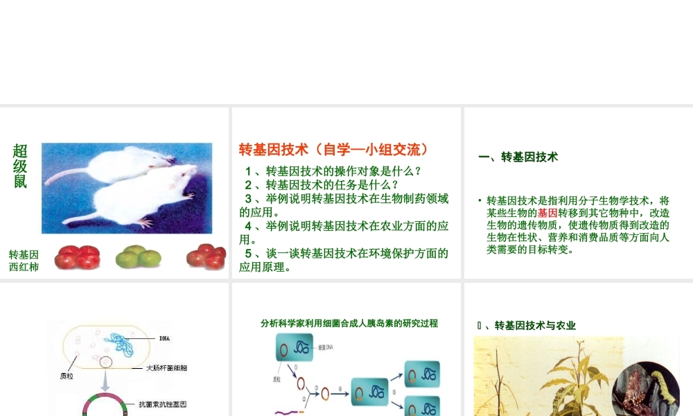 八年级生物下册 第9单元 第25章 第2节《现代生物技术》课件 北师大版