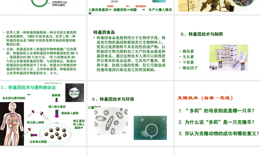 八年级生物下册 第9单元 第25章 第2节《现代生物技术》课件 北师大版