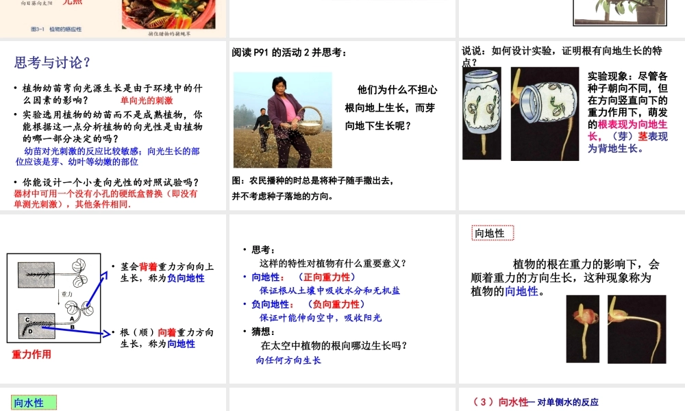 八年级科学上册 第3章 生命活动的调节 3.1《植物生命活动的调节》课件（4） 浙教版-浙教版初中八年级上册自然科学课件