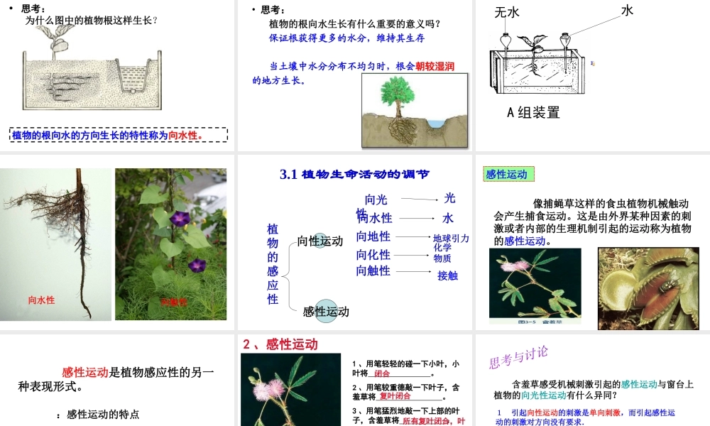 八年级科学上册 第3章 生命活动的调节 3.1《植物生命活动的调节》课件（4） 浙教版-浙教版初中八年级上册自然科学课件