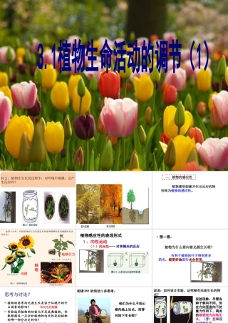 八年级科学上册 第3章 生命活动的调节 3.1《植物生命活动的调节》课件（4） 浙教版-浙教版初中八年级上册自然科学课件