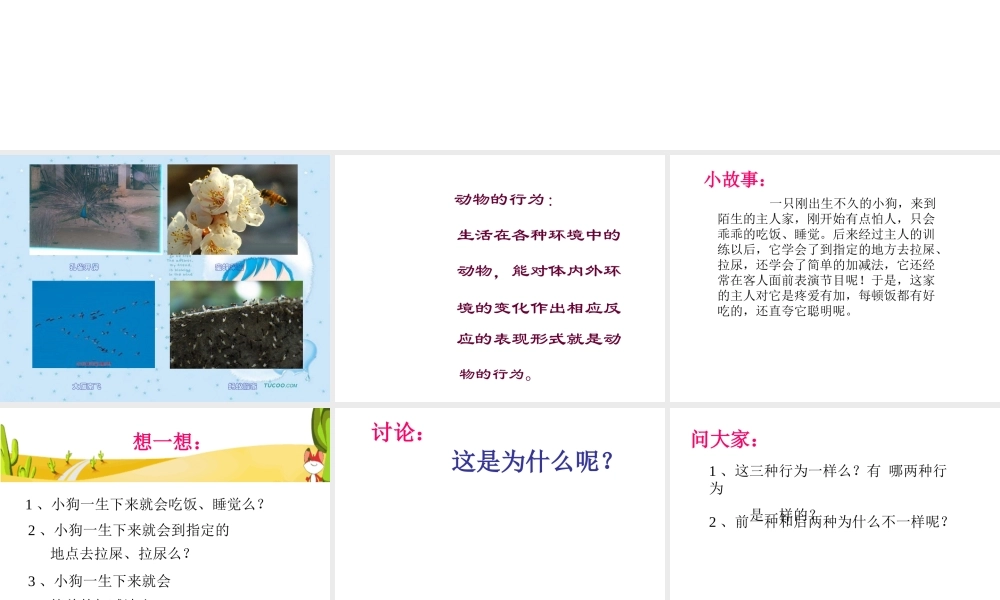 八年级科学上册 3.4 动物的行为课件1 浙教版-浙教版初中八年级上册自然科学课件