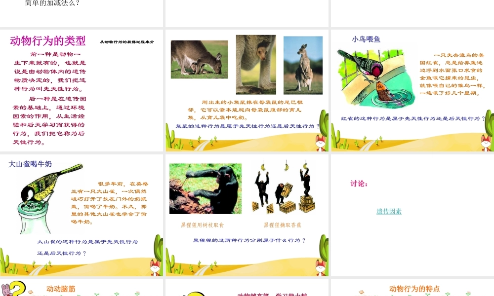 八年级科学上册 3.4 动物的行为课件1 浙教版-浙教版初中八年级上册自然科学课件