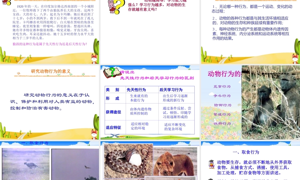 八年级科学上册 3.4 动物的行为课件1 浙教版-浙教版初中八年级上册自然科学课件