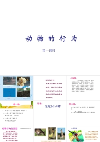八年级科学上册 3.4 动物的行为课件1 浙教版-浙教版初中八年级上册自然科学课件