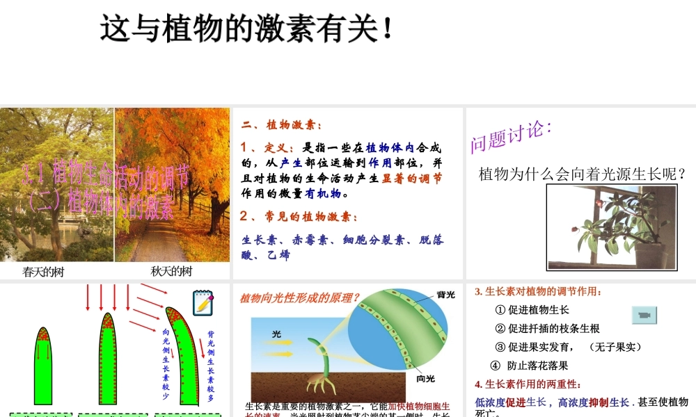 八年级科学上册 第3章 生命活动的调节 3.1《植物生命活动的调节》课件（5） 浙教版-浙教版初中八年级上册自然科学课件