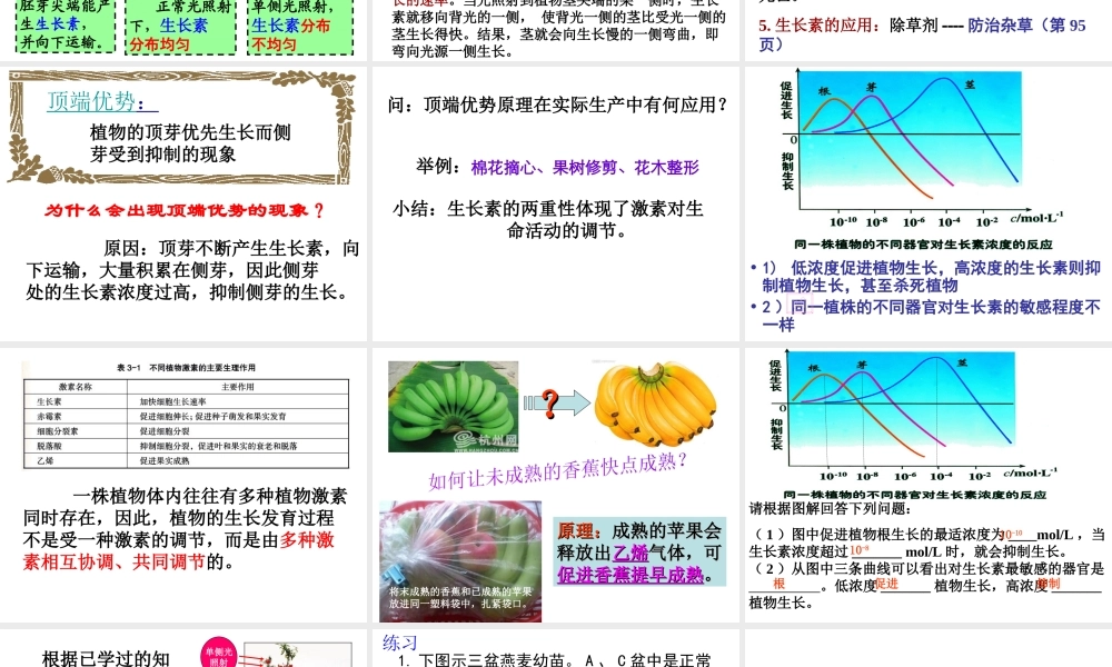 八年级科学上册 第3章 生命活动的调节 3.1《植物生命活动的调节》课件（5） 浙教版-浙教版初中八年级上册自然科学课件