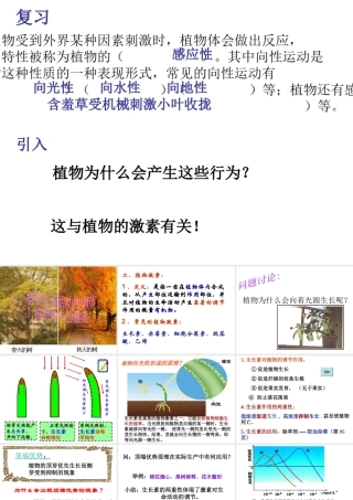 八年级科学上册 第3章 生命活动的调节 3.1《植物生命活动的调节》课件（5） 浙教版-浙教版初中八年级上册自然科学课件