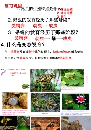 八年级生物下册 第7单元 第1章 第三节 两栖动物的生殖与发育课件 （新版）新人教版-（新版）新人教级下册生物课件