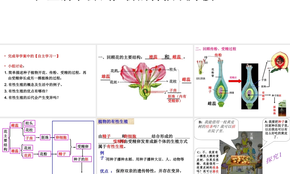 八年级生物下册 第二批教学能手评选 7.1.1 植物的生殖课件 （新版）新人教版-（新版）新人教版初中八年级下册生物课件