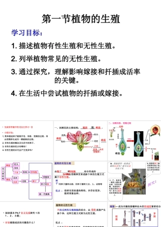 八年级生物下册 第二批教学能手评选 7.1.1 植物的生殖课件 （新版）新人教版-（新版）新人教版初中八年级下册生物课件