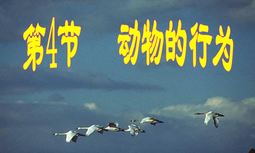 八年级科学上册 3.4 动物的行为课件2 浙教版-浙教版初中八年级上册自然科学课件