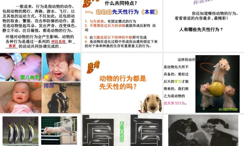 八年级科学上册 3.4 动物的行为课件2 浙教版-浙教版初中八年级上册自然科学课件