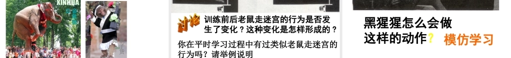 八年级科学上册 3.4 动物的行为课件2 浙教版-浙教版初中八年级上册自然科学课件