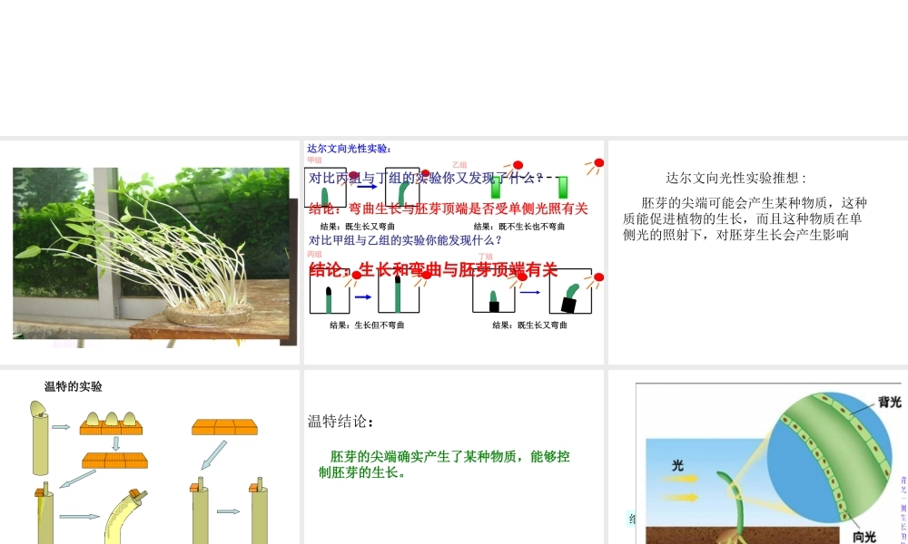 八年级科学上册 第3章 生命活动的调节 3.2《神奇的激素》课件（1） 浙教版-浙教版初中八年级上册自然科学课件