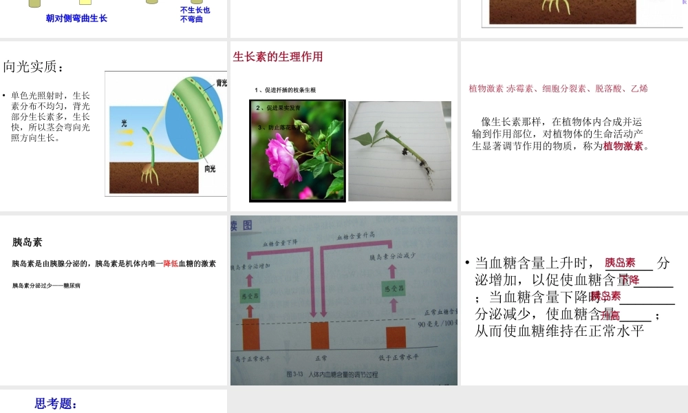 八年级科学上册 第3章 生命活动的调节 3.2《神奇的激素》课件（1） 浙教版-浙教版初中八年级上册自然科学课件