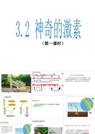 八年级科学上册 第3章 生命活动的调节 3.2《神奇的激素》课件（1） 浙教版-浙教版初中八年级上册自然科学课件
