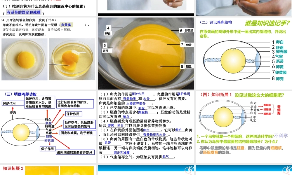 八年级生物下册 第7单元 第1章 第四节 鸟的生殖和发育课件 （新版）新人教版-（新版）新人教版初中八年级下册生物课件