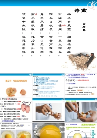 八年级生物下册 第7单元 第1章 第四节 鸟的生殖和发育课件 （新版）新人教版-（新版）新人教版初中八年级下册生物课件