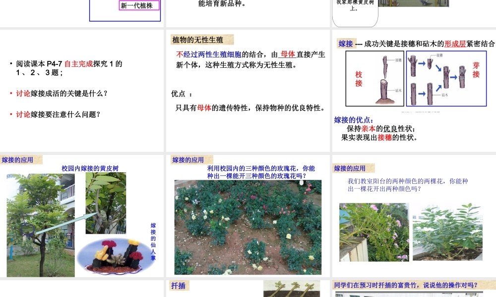 八年级生物下册 第二批教学能手评选 7.1.1 植物的生殖课件 （新版）新人教版-（新版）新人教级下册生物课件