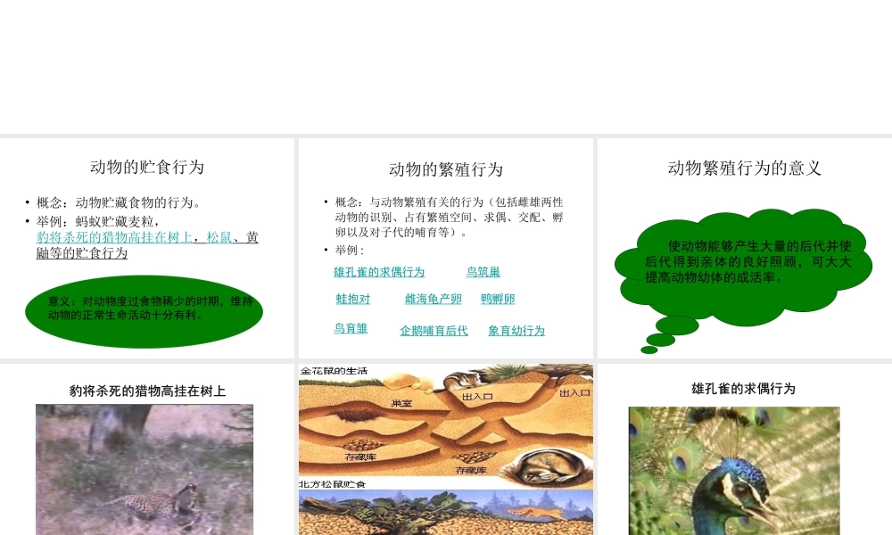 八年级科学上册 3.4 动物的行为课件3 浙教版-浙教版初中八年级上册自然科学课件