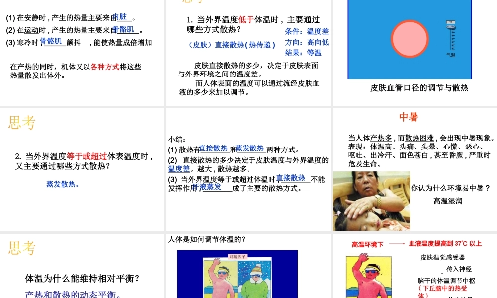 八年级科学上册 3.5 体温的控制课件2 浙教版-浙教版初中八年级上册自然科学课件