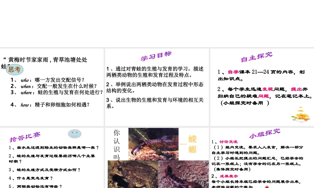 八年级生物下册 第八单元 生物的生殖、发育与遗传 第二十一章 生物的生殖与发育 第四节 两栖类的生殖与发育课件2（新版）苏教版-（新版）苏教版初中八年级下册生物课件