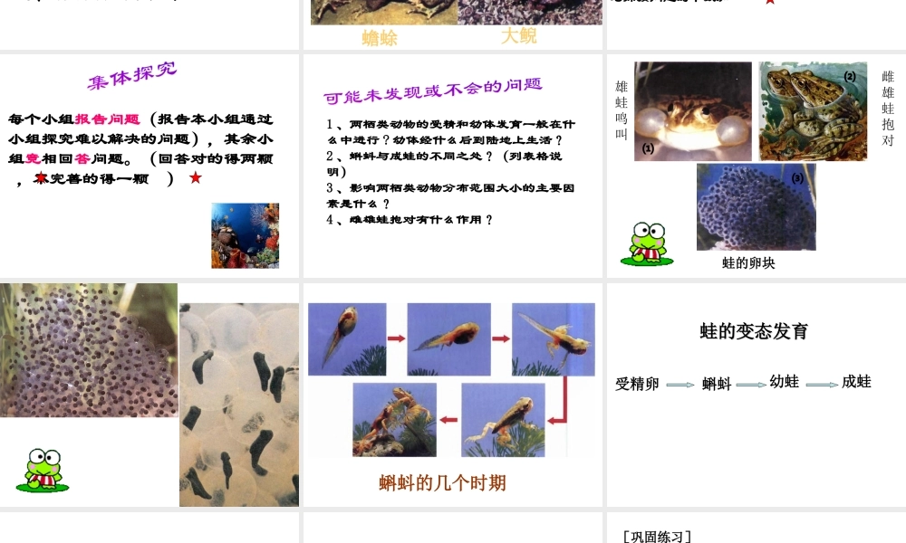 八年级生物下册 第八单元 生物的生殖、发育与遗传 第二十一章 生物的生殖与发育 第四节 两栖类的生殖与发育课件2（新版）苏教版-（新版）苏教版初中八年级下册生物课件
