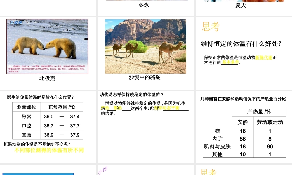 八年级科学上册 3.5 体温的控制课件3 浙教版-浙教版初中八年级上册自然科学课件