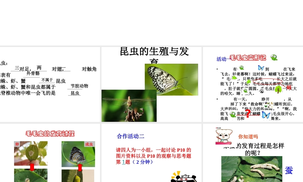 八年级生物下册 第二批教学能手评选 7.1.2 昆虫的生殖和发育课件 （新版）新人教版-（新版）新人教级下册生物课件