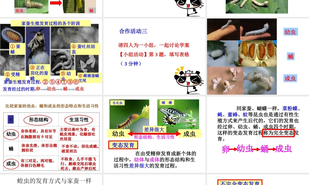 八年级生物下册 第二批教学能手评选 7.1.2 昆虫的生殖和发育课件 （新版）新人教版-（新版）新人教级下册生物课件