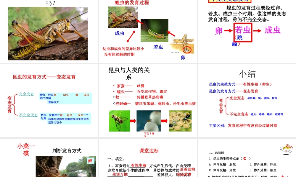 八年级生物下册 第二批教学能手评选 7.1.2 昆虫的生殖和发育课件 （新版）新人教版-（新版）新人教级下册生物课件