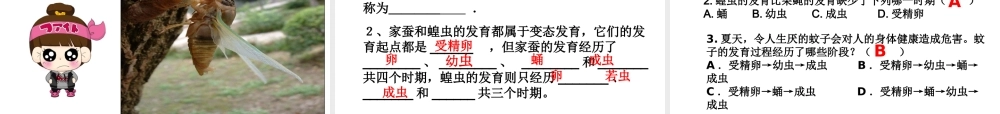 八年级生物下册 第二批教学能手评选 7.1.2 昆虫的生殖和发育课件 （新版）新人教版-（新版）新人教级下册生物课件