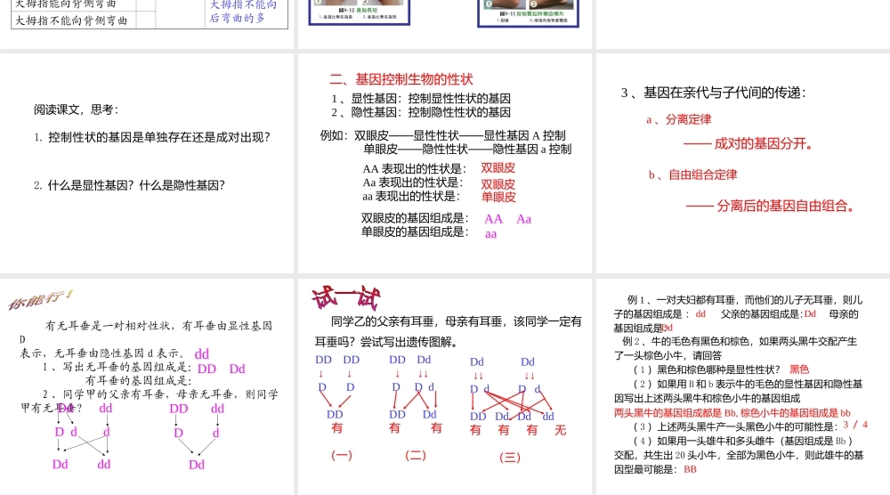 八年级生物下册 第二十二章 第2节《人的性状和遗传》课件 （新版）苏教版