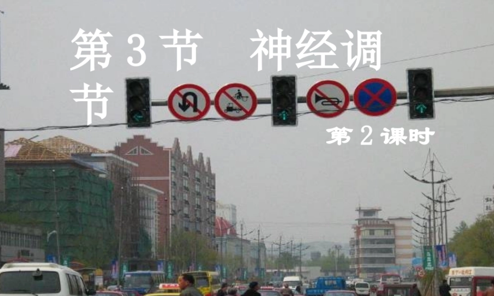 八年级科学上册 第3章 生命活动的调节 3.3《神经调节》课件（3） 浙教版-浙教版初中八年级上册自然科学课件