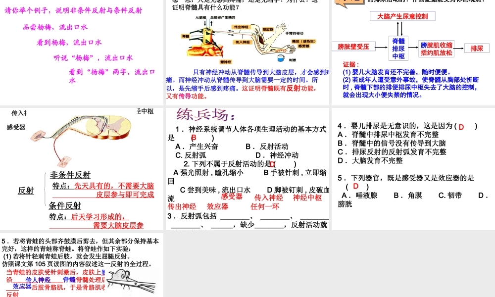 八年级科学上册 第3章 生命活动的调节 3.3《神经调节》课件（3） 浙教版-浙教版初中八年级上册自然科学课件