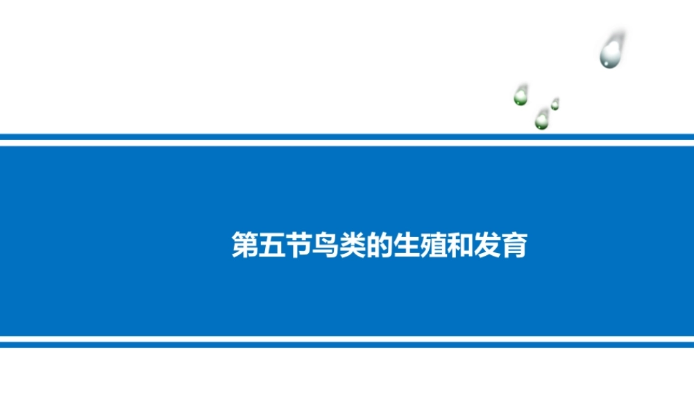 八年级生物下册 第八单元 生物的生殖、发育与遗传 第二十一章 生物的生殖与发育 第五节 鸟类的生殖与发育课件1（新版）苏教版-（新版）苏教版初中八年级下册生物课件