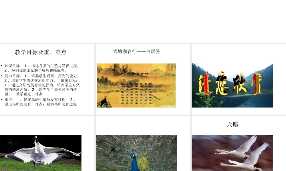 八年级生物下册 第八单元 生物的生殖、发育与遗传 第二十一章 生物的生殖与发育 第五节 鸟类的生殖与发育课件1（新版）苏教版-（新版）苏教版初中八年级下册生物课件