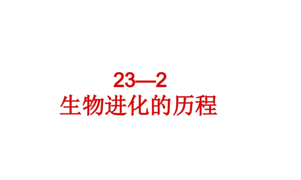 八年级生物下册 第23章 第2节 生物进化的历程课件 （新版）苏科版-（新版）苏科级下册生物课件