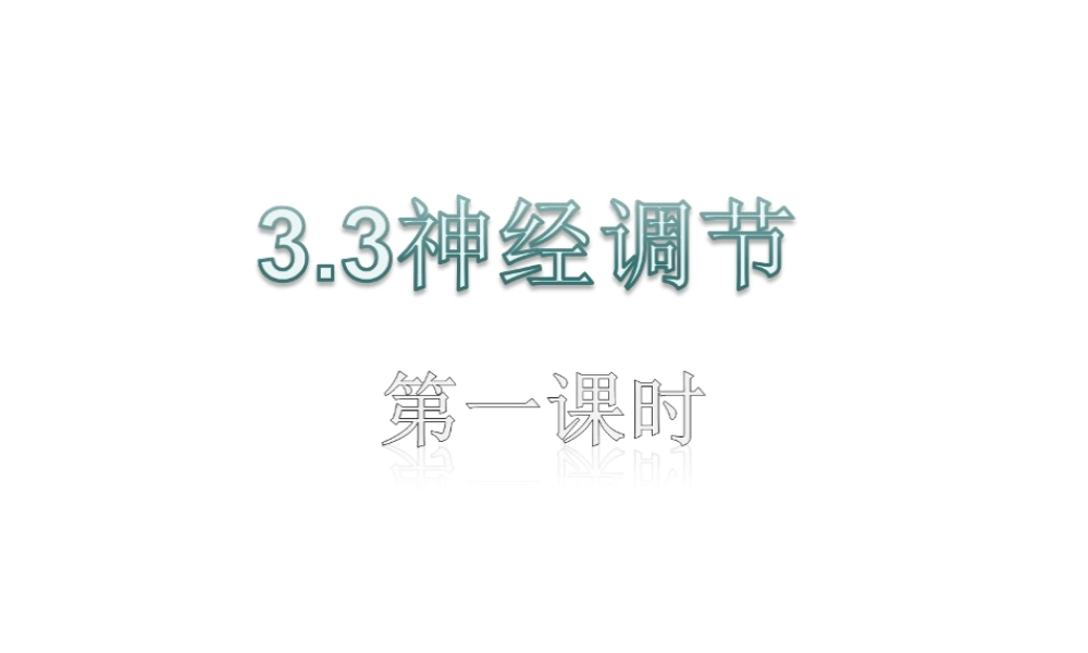八年级科学上册 第3章 生命活动的调节 3.3《神经调节》课件（5） 浙教版-浙教版初中八年级上册自然科学课件