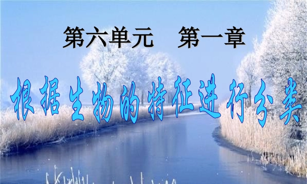 八年级生物尝试对生物分类新人教版